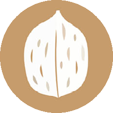 FRUTTA A GUSCIO