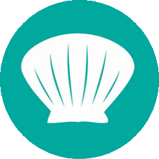 MOLLUSCHI