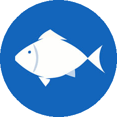 PESCE