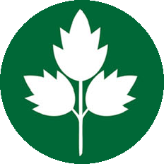 SEDANO