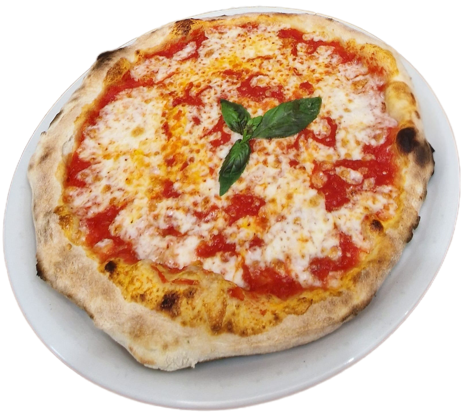 Margherita