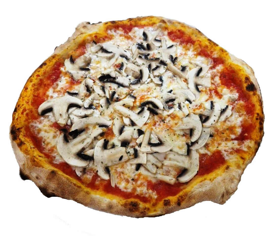 Funghi Freschi
