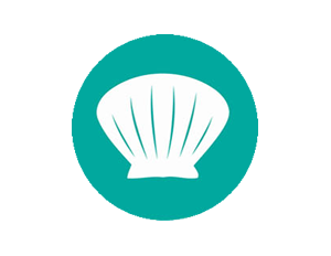 MOLLUSCHI