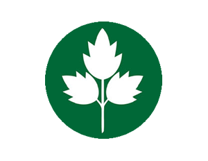 SEDANO