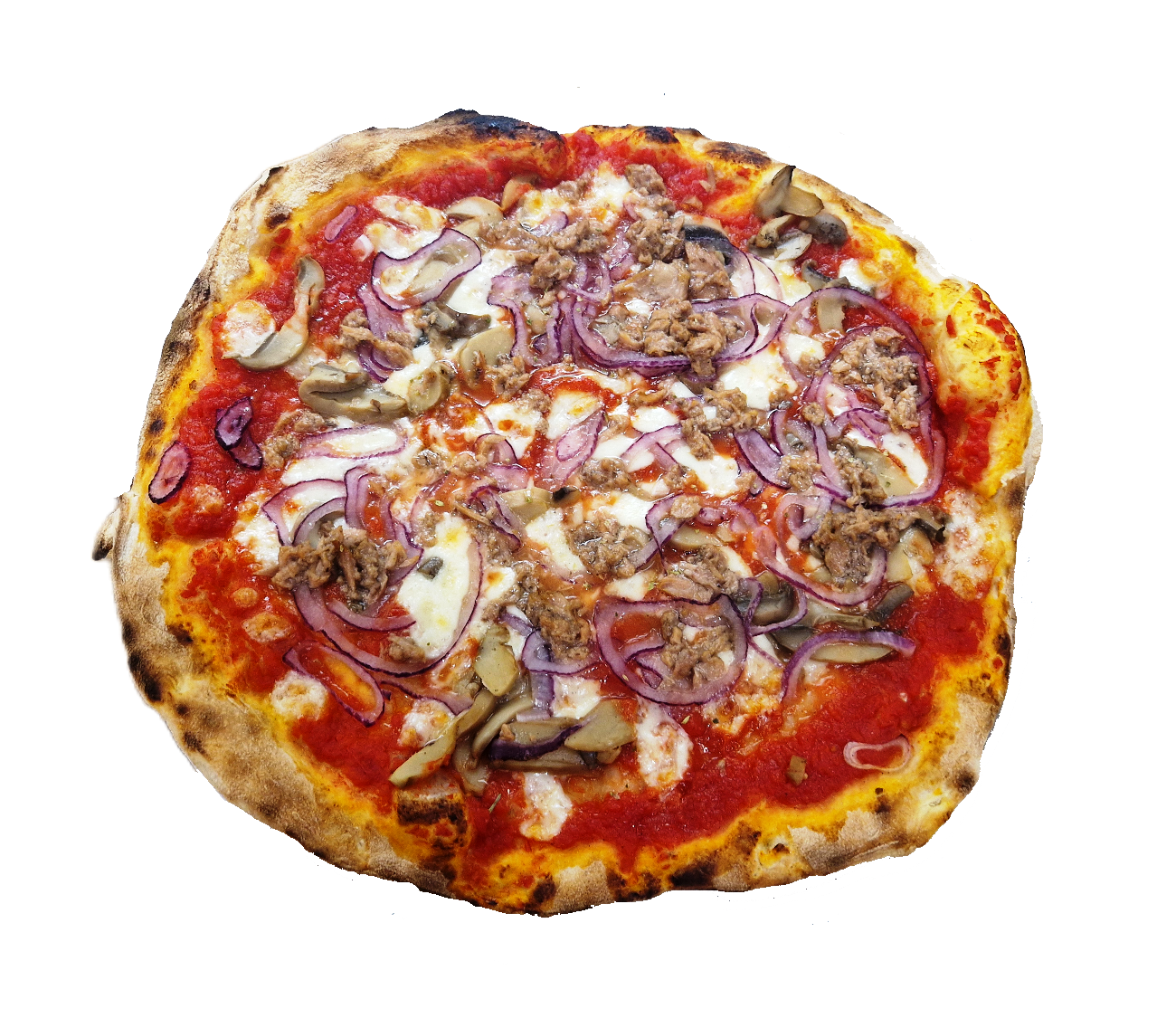 Cipolle