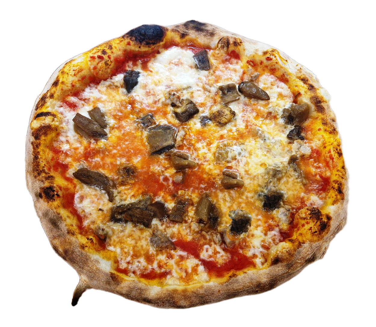Porcini